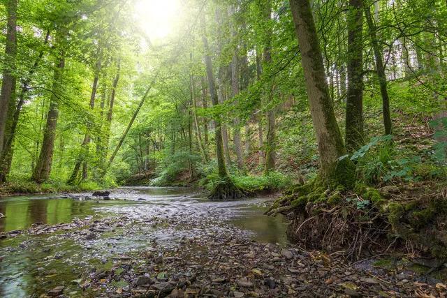 酵素营养师是怎么炼成的,植物蛋白发酵酵素