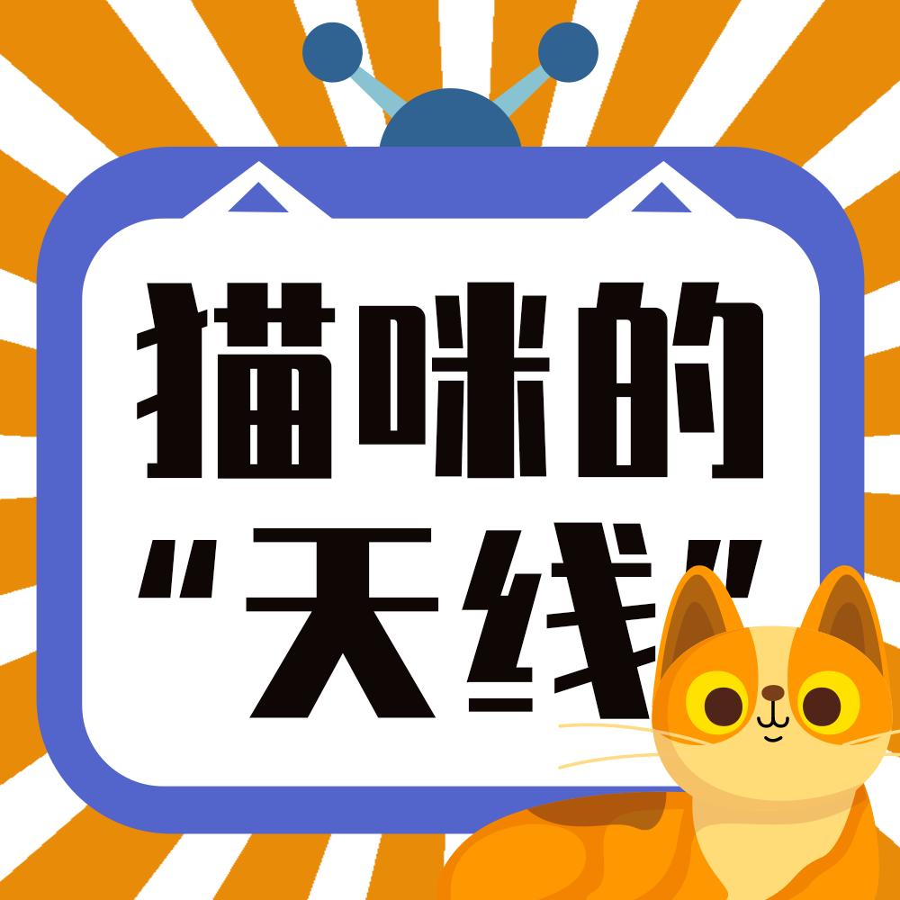 猫咪的天线有什么区别 (猫咪可以自带天线吗)