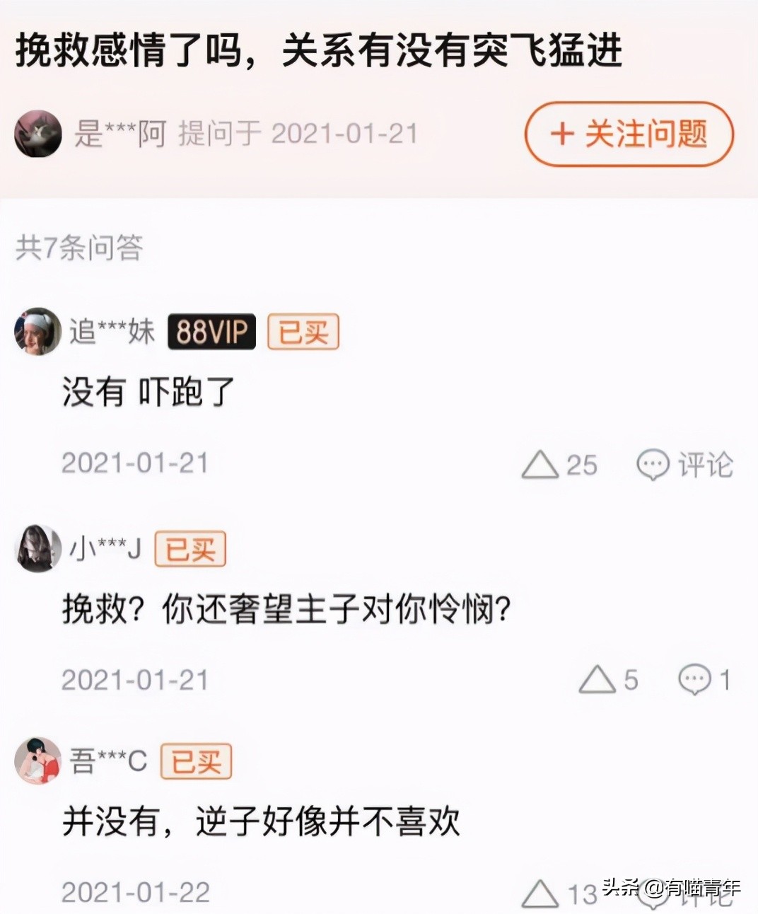 长毛猫撸猫毛工具,哪种撸猫毛的工具好用