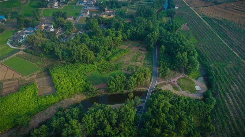 彭山竹韵廊在什么地方,彭山区竹韵廊公园航拍