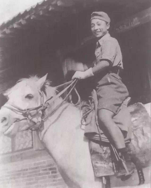 画家张仃,中央工艺美院院长张仃简介