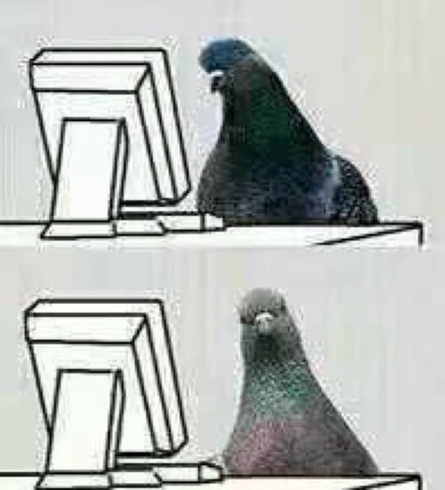 网文喵吐槽1：网文作者中的鸽子精们，诶，辰东大大怎么也在里面