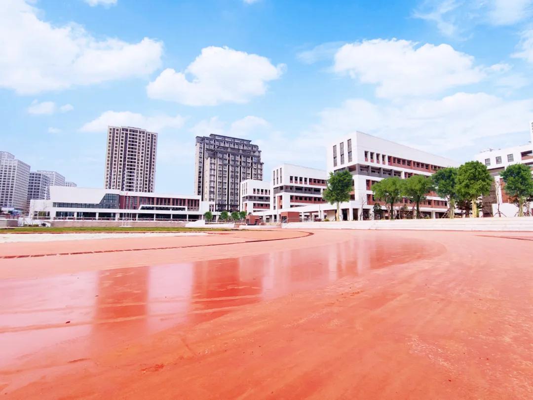 南部新城公立学校哪个好,南部新城的初中有哪些