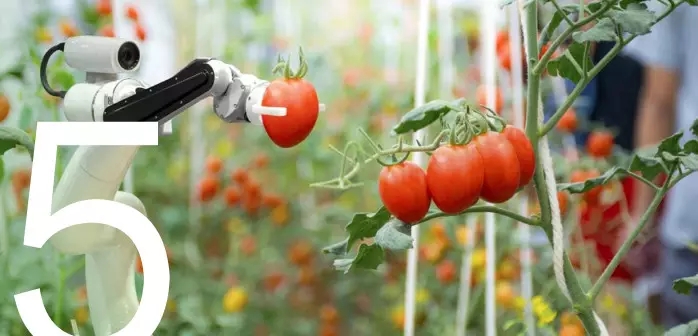 华为重磅报告有关未来十年,六年之后世界会变成什么样