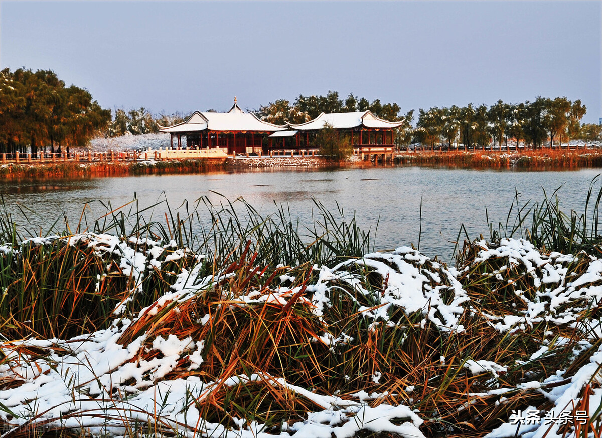 国家为什么要大力发展辽阳,国家为什么要大力发展沧州