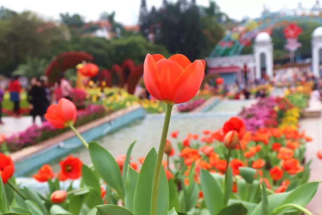 广州国庆旅游攻略大全图,广州最全景点攻略