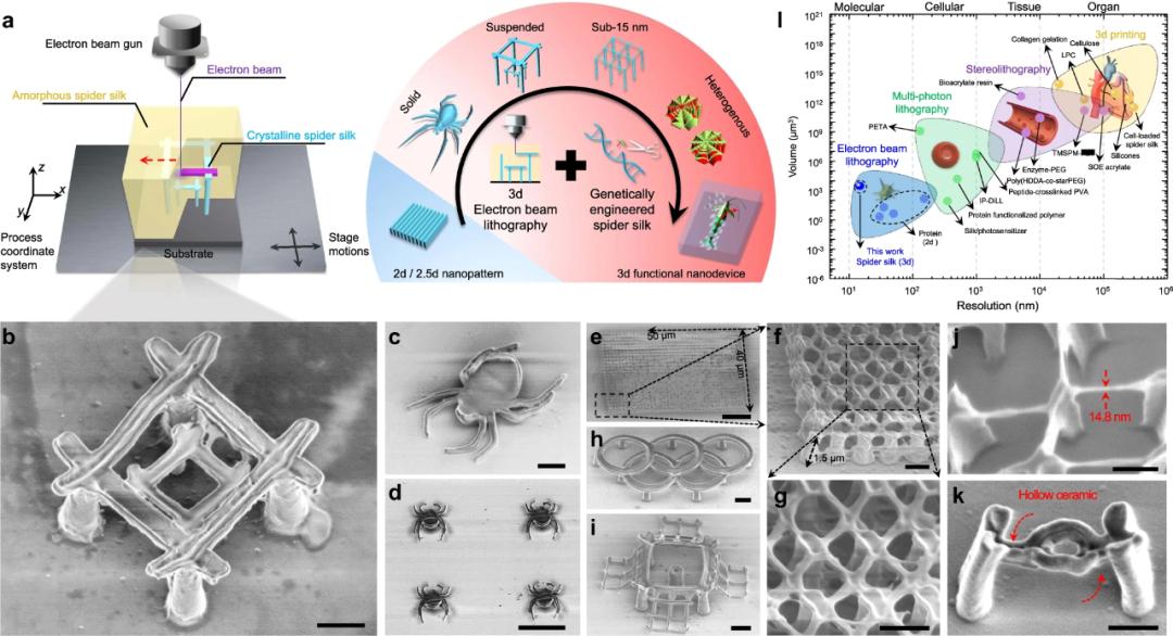 制造蜘蛛丝中国科学家,科学家用蜘蛛网做纳米机器人