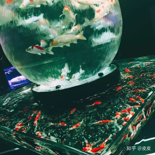 中国人在日本的生活是怎样的,在中国生活的日本人真实感受