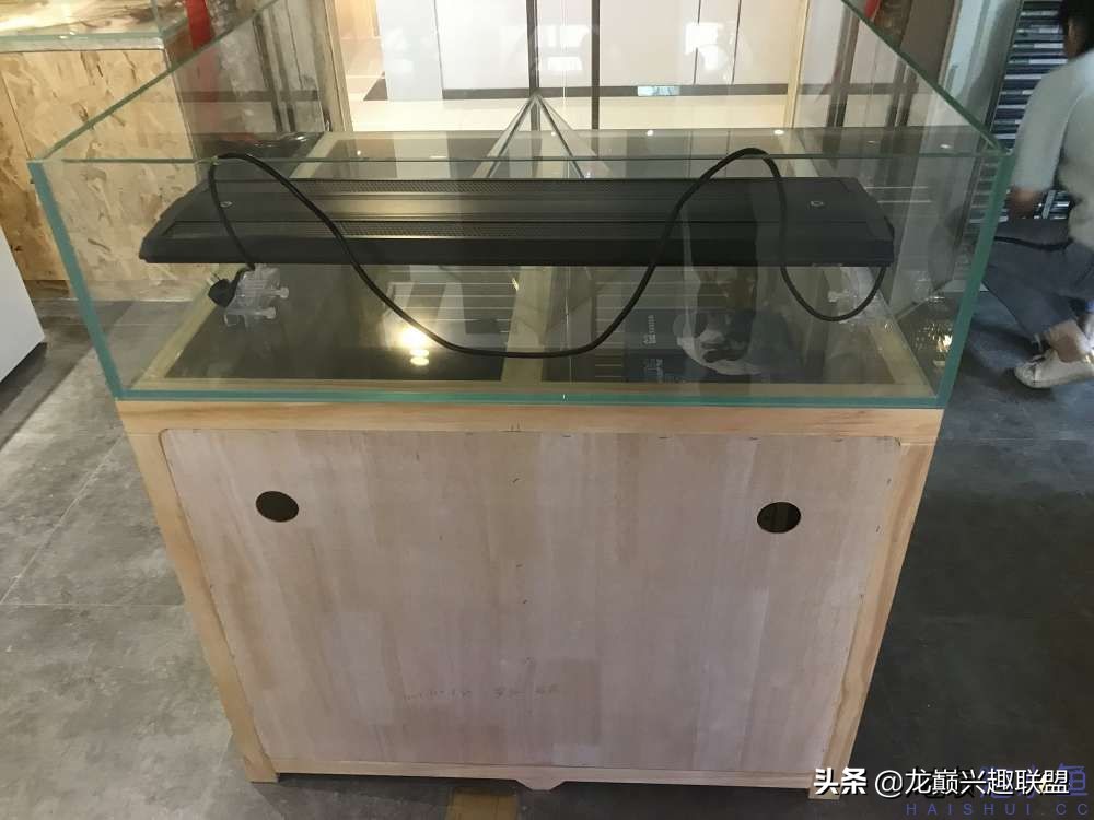 从零开始玩海缸的方法,从零开始玩海缸全过程