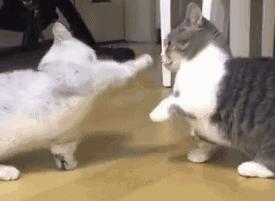 什么单词是pk的缩写,pk是哪个国家的缩写