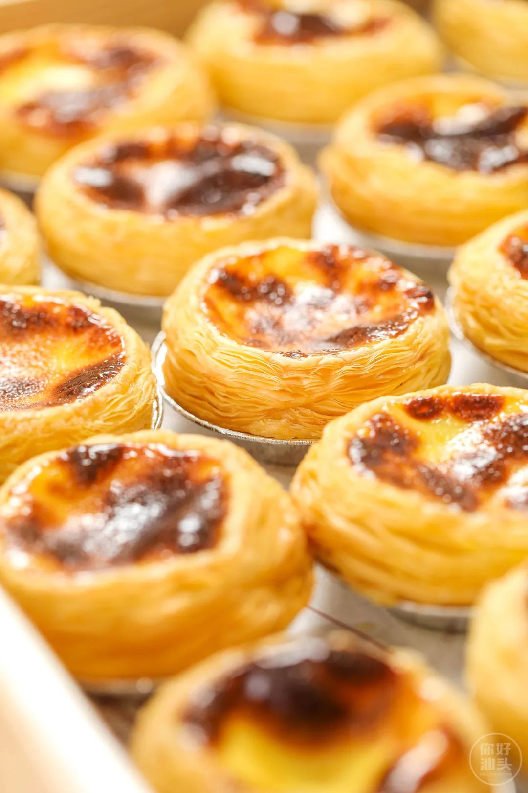 1折！长平路①烘焙店开业前夕竟决定：请全汕头人免费吃蛋挞