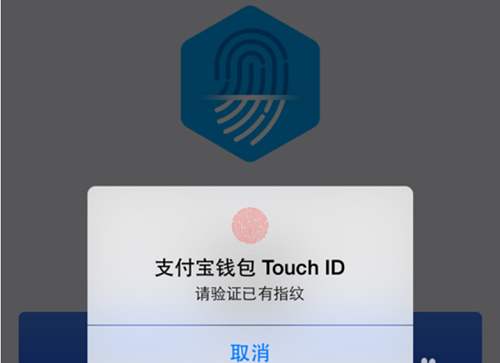 手机被偷支付宝被别人转进1000,手机被偷支付宝的钱不知去向