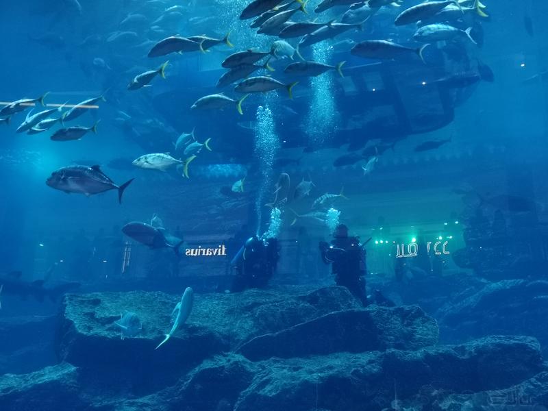 沙漠浪漫之旅迪拜,从天空进入海底