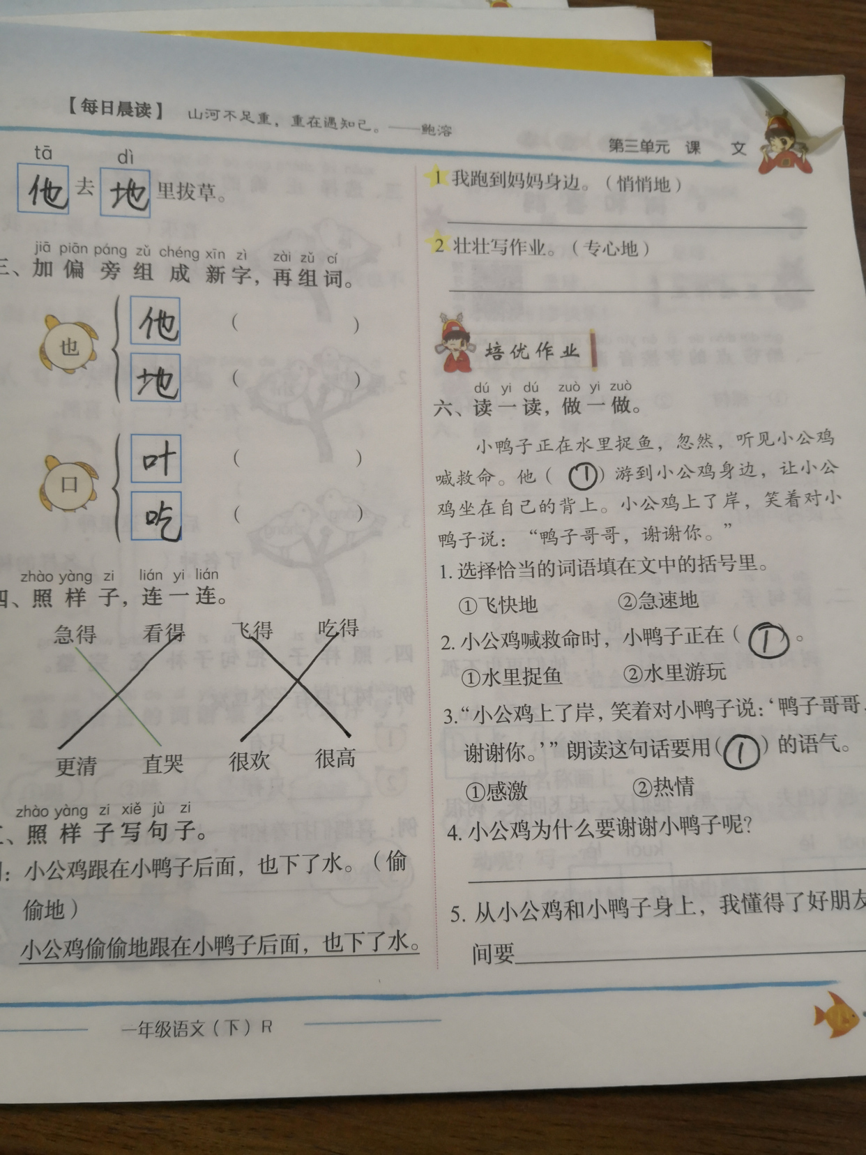 小公鸡和小鸭子一年级下册电子书,一年级小公鸡和小鸭子生字组词