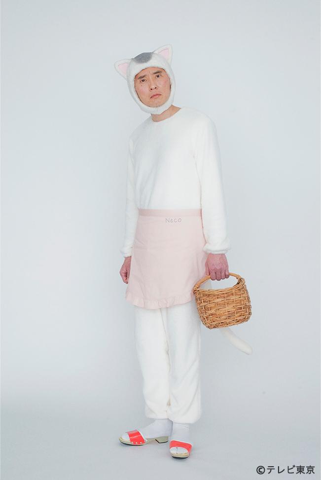 那个孤独的美食家，改行做了猫界家政妇。