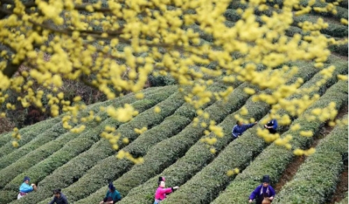贵州丹寨万达小镇投资多少亿,万达给丹寨小镇带来了什么