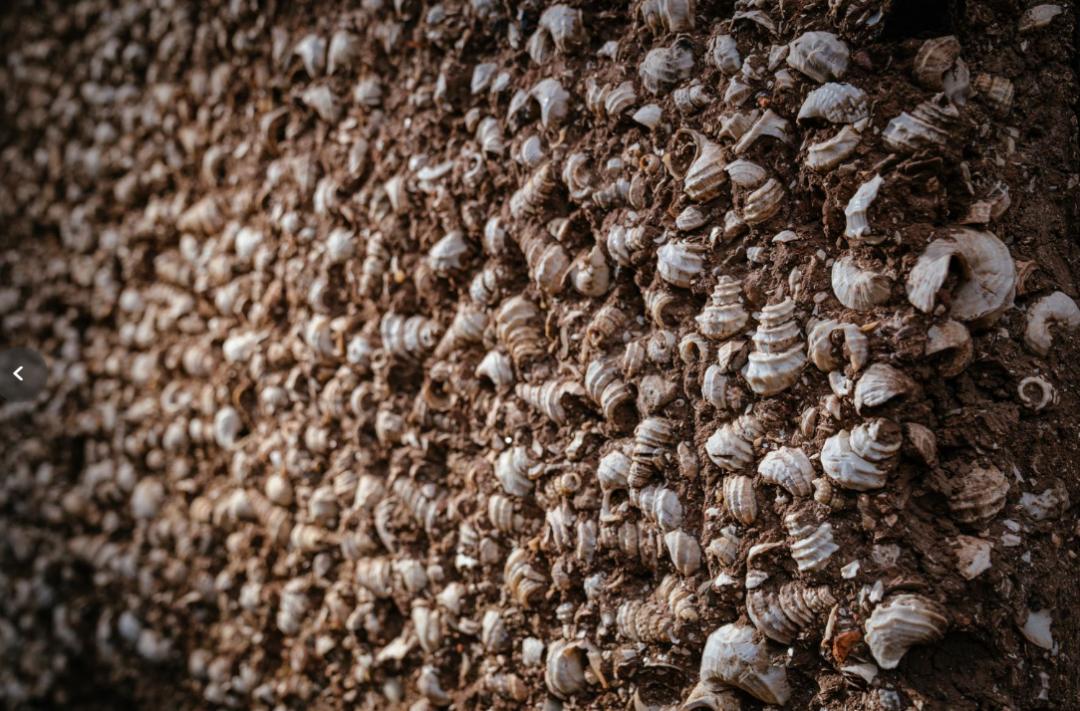 美丽云南滇池,美丽云南第二季鹤庆