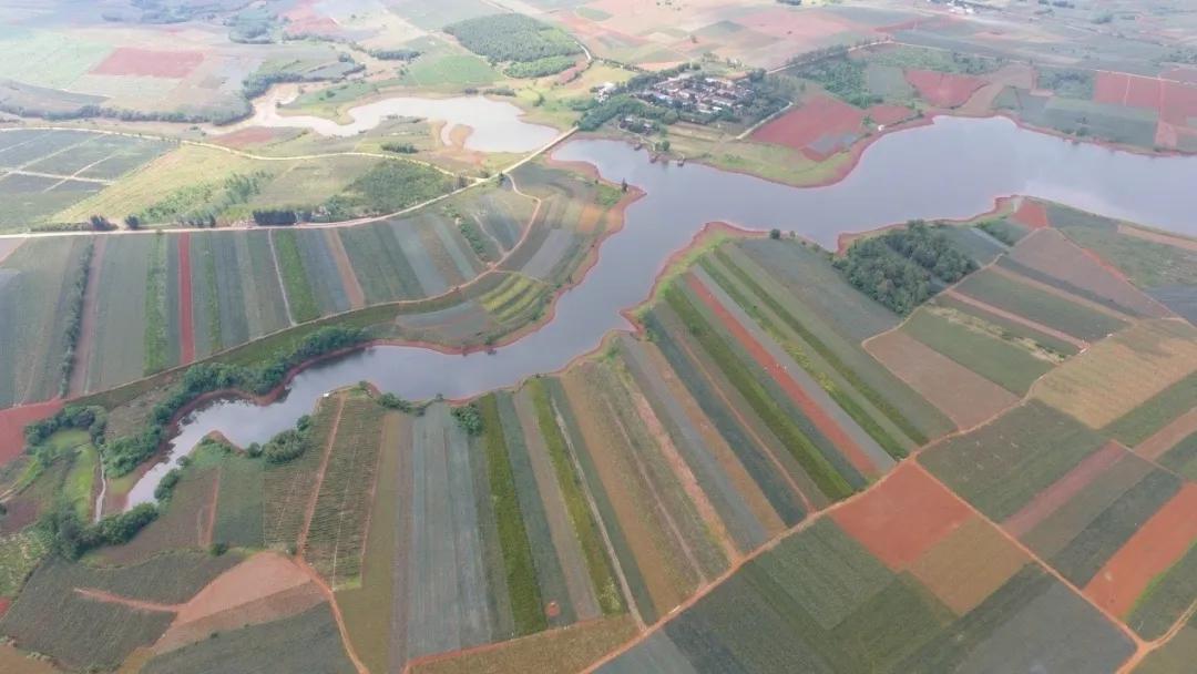 鑿犺悵鑿犺悵鑿犺悵鑿犺悵鑿犺悵,寰愰椈鑿犺悵浜戝崡鑿犺悵娴峰崡鑿犺悵鍖哄埆