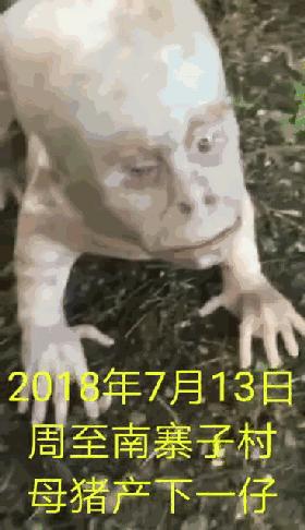 超度收费30万靠谱吗,超度真实事件