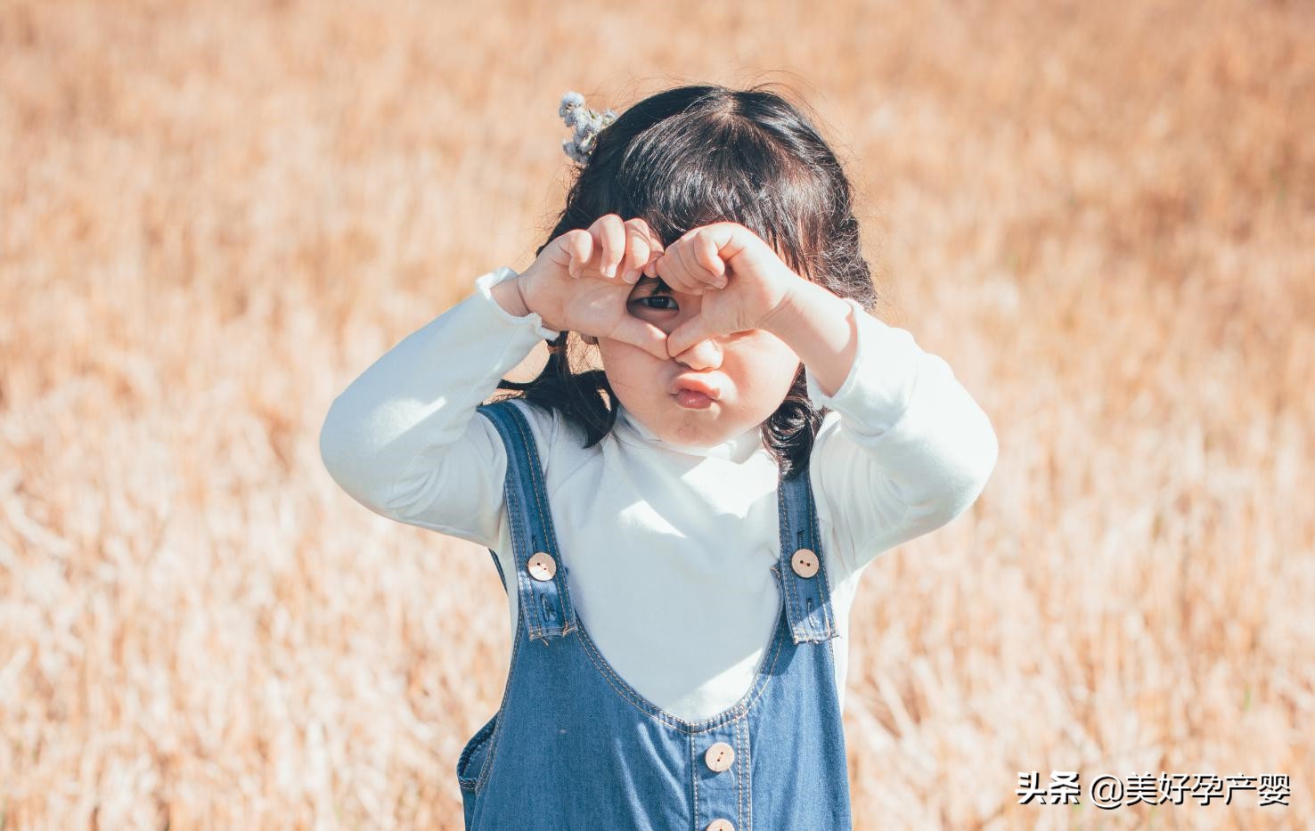 小宝宝需要补充dha的含量是多少,小宝宝必须要补充dha吗