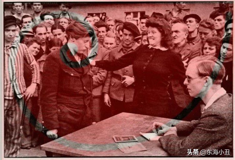 摄影黄金螺旋线,摄影黄金比例构图法讲解