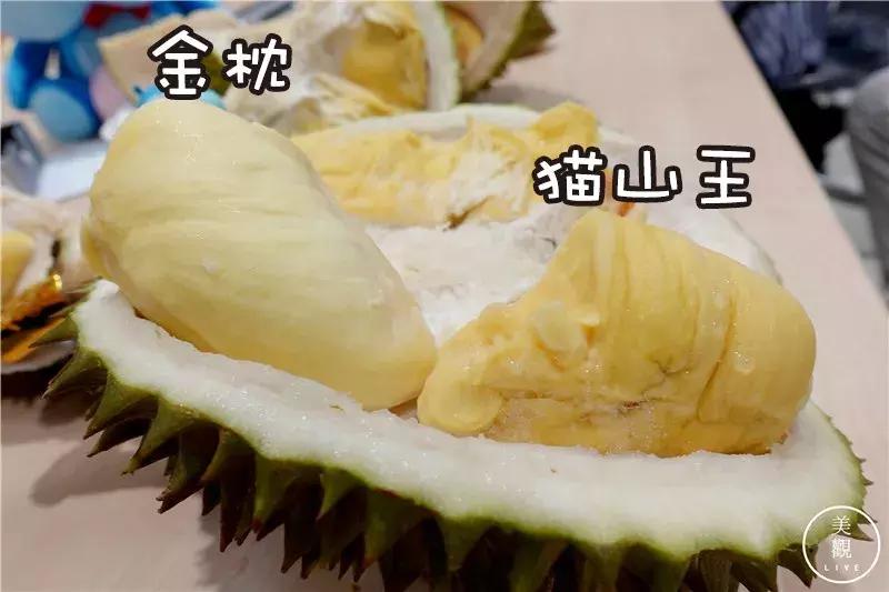 做完这期测评,朋友问我是不是吃“shi”了||美观测评