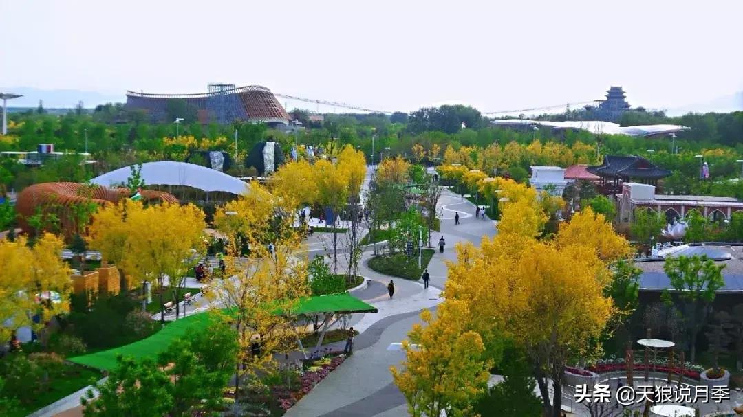 有人去过世园会吗,去过世园会