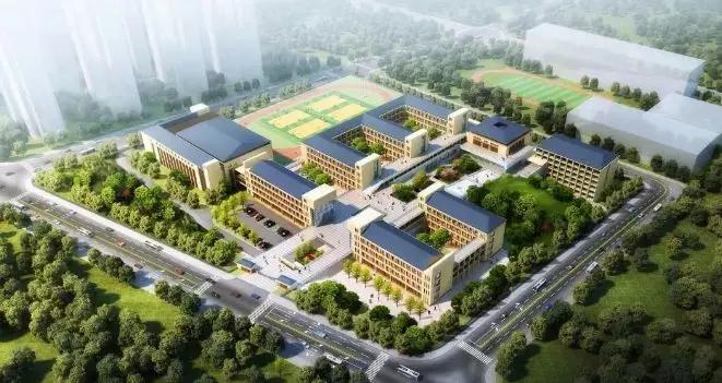 2020年，青海这么多好事等着你