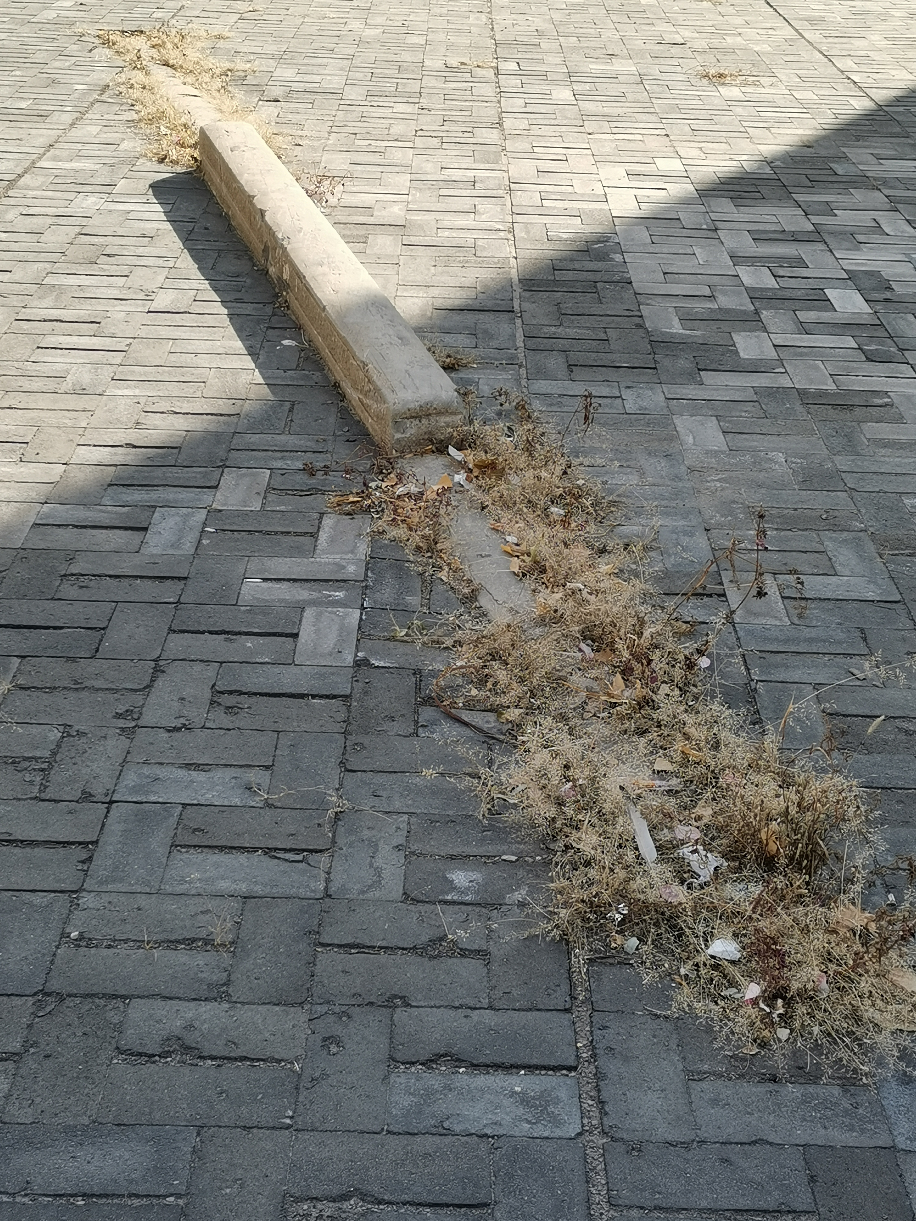 图说大运河,图说大运河直隶总督衙门