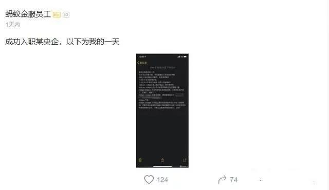 程序员离职后跳槽到国企真实经历,国企程序员跳槽互联网