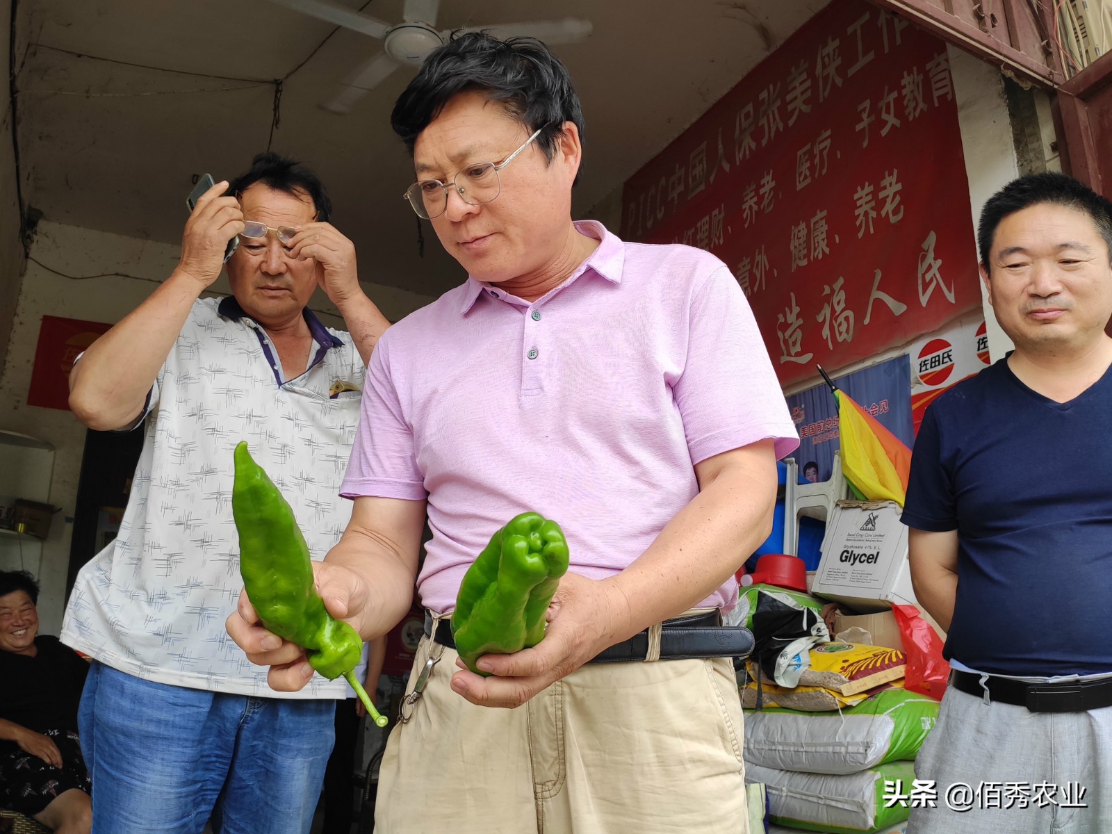 影响辣椒高产的3种因素，施肥用药有窍门，农民朋友易掌握