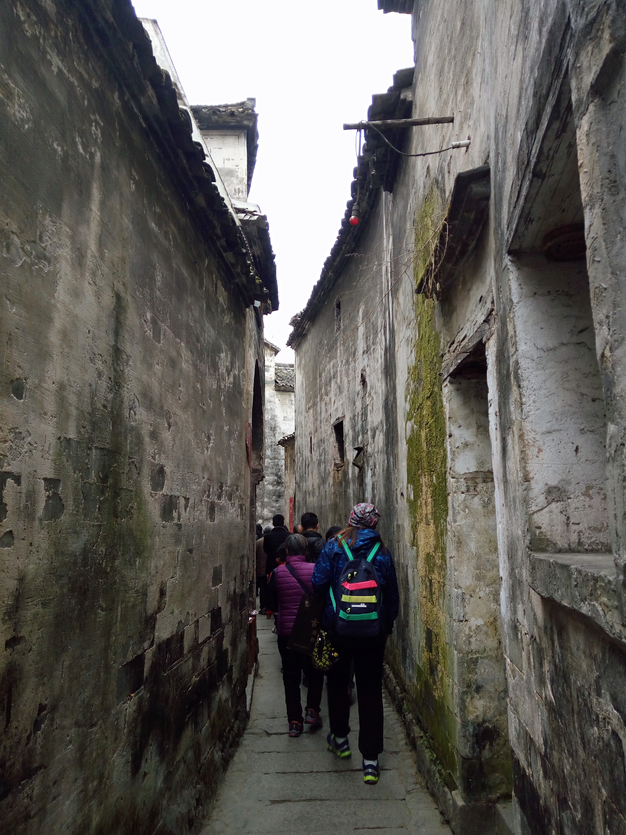 徽派村落宏村风景,山为牛头树为角的意思