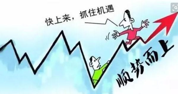 外汇中什么叫做爆仓率,外汇交易中新手为什么总是会爆仓