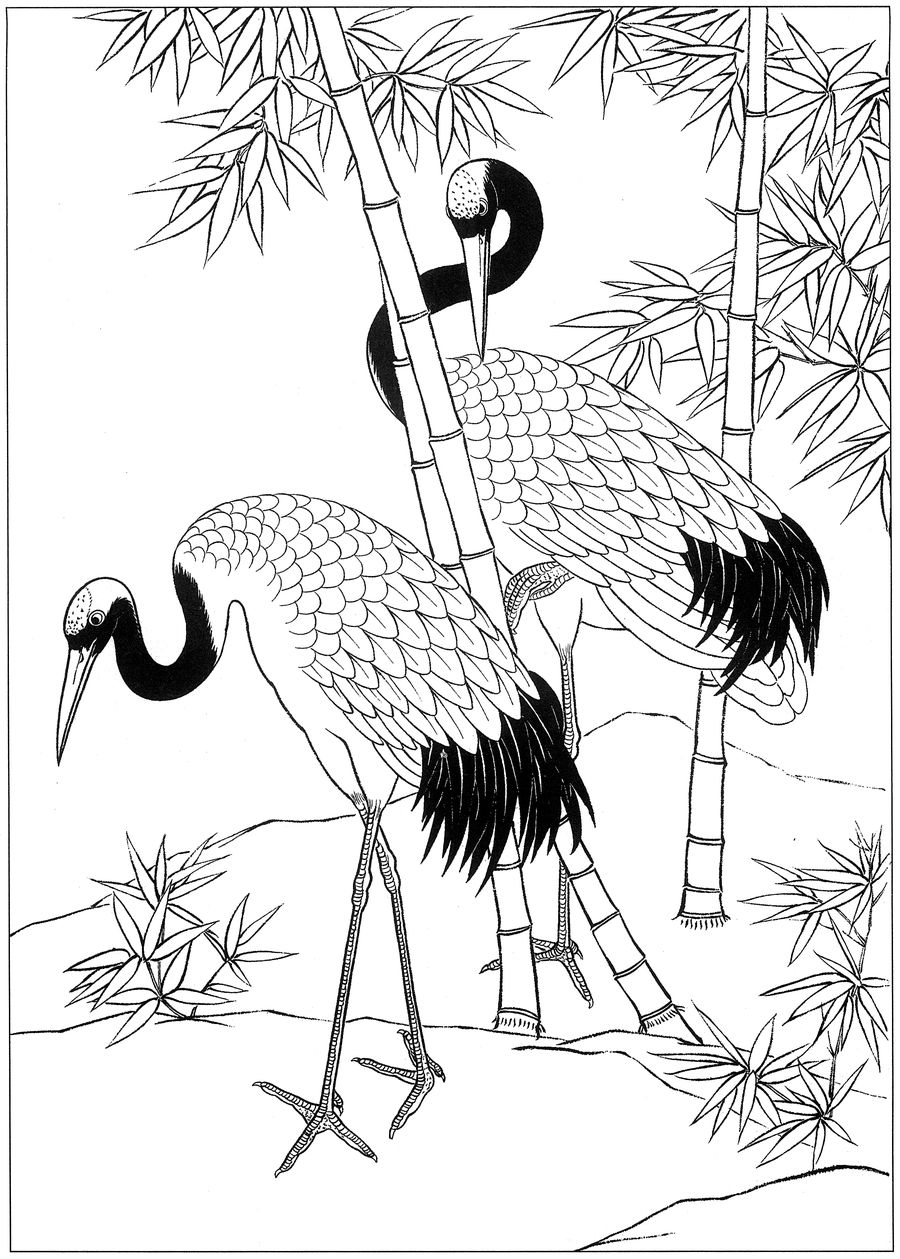 仙鹤桃子工笔白描稿,工笔画仙鹤高清图上色步骤图