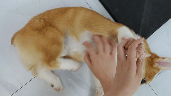 专门摸屁股的店，任摸