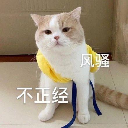 搞笑gif开心一刻原来高手在民间,搞笑gif你大爷果然还是你大爷