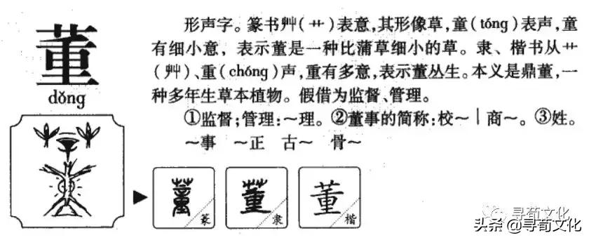 董字小篆体,中国百家姓董字艺术签名视频教学