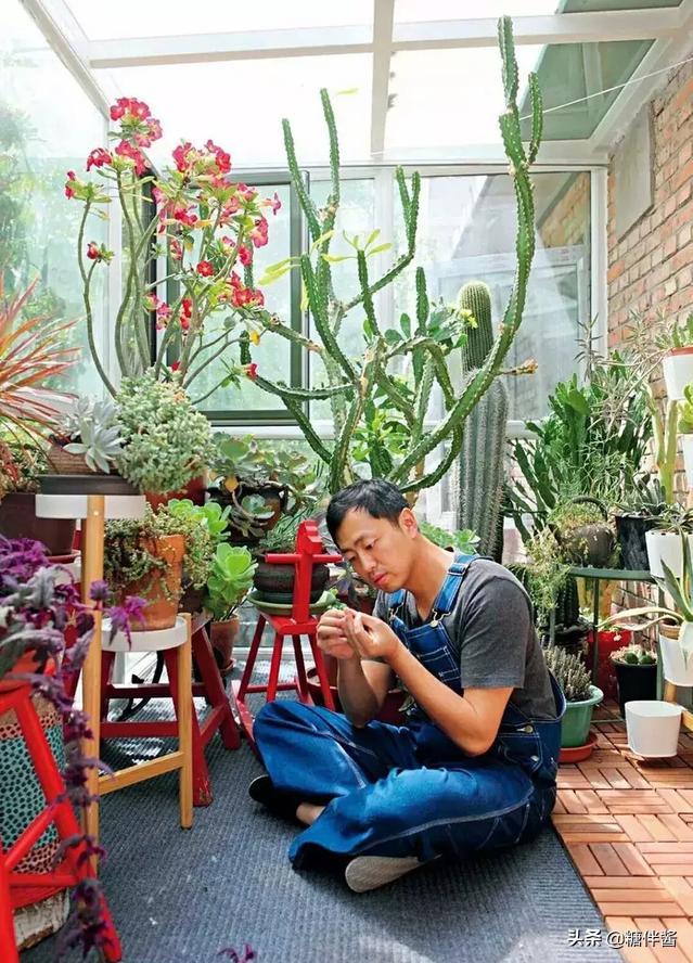 水哥为什么不继续上最强大脑,当年最强大脑的水哥现在如何了