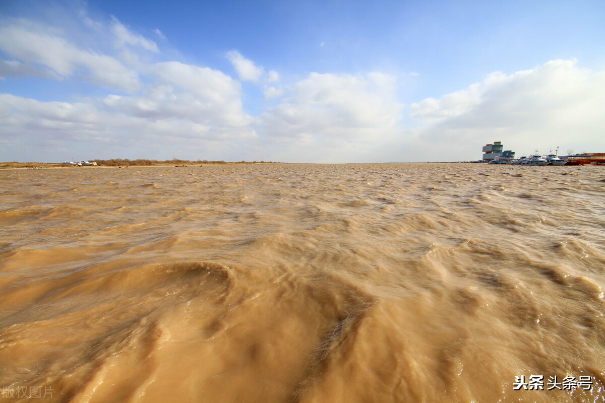 回顾东方白鹳迁徙路上的生存困境,东方白鹳在哪里栖息