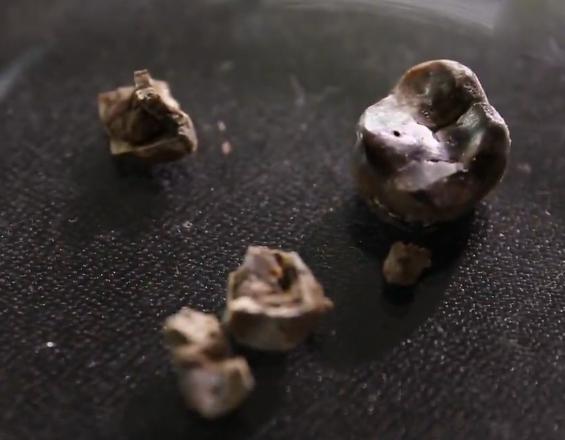 古墓宝藏之谜,墓室之谜完整版