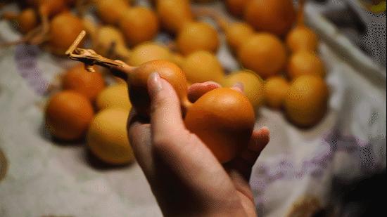 潘家园被骗能不能报警,潘家园实话实说