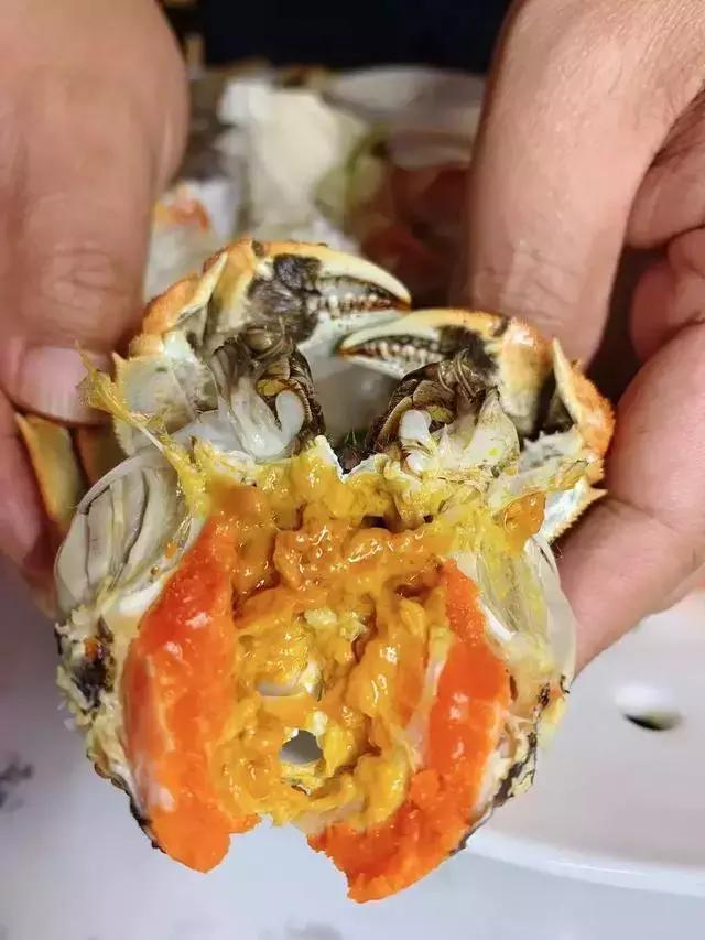 长春五一必吃海鲜自助推荐,长春哪里的海鲜最好吃