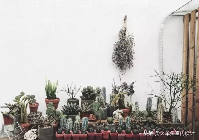 她放弃了总监职位后续,她辞去总监回家扶贫全集