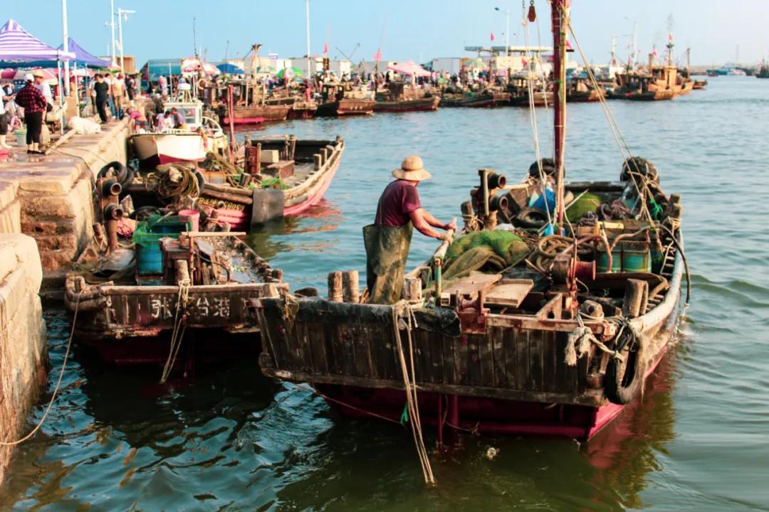 生活在日照是什么感觉,生活在日照就是幸福征文800字