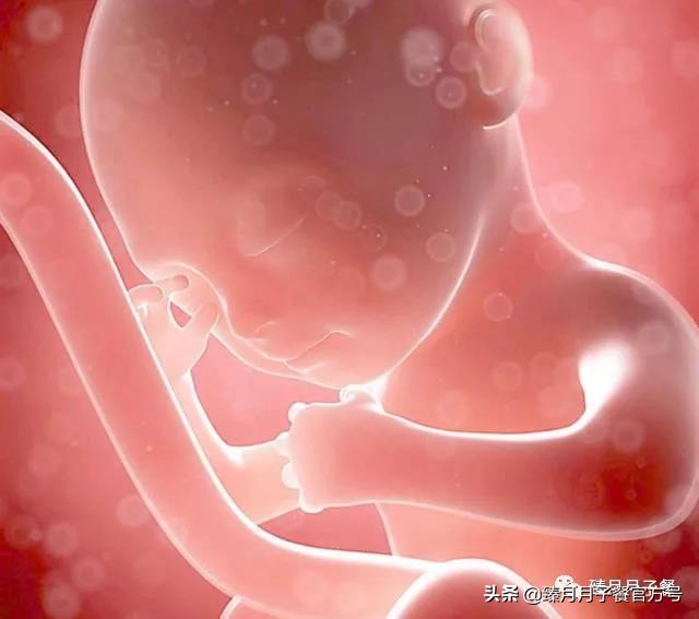 你还记得胎动的感觉吗