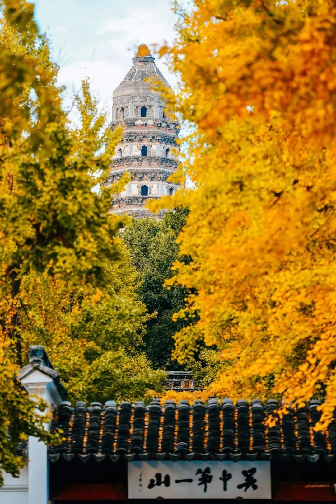 苏州旅游必打卡的10个景点,苏州适合周末放松的景区
