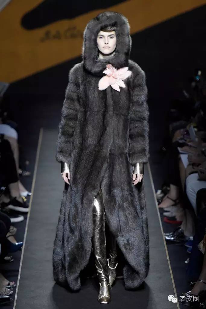 貂中之王紫貂什么颜色,裘中之王是什么意思