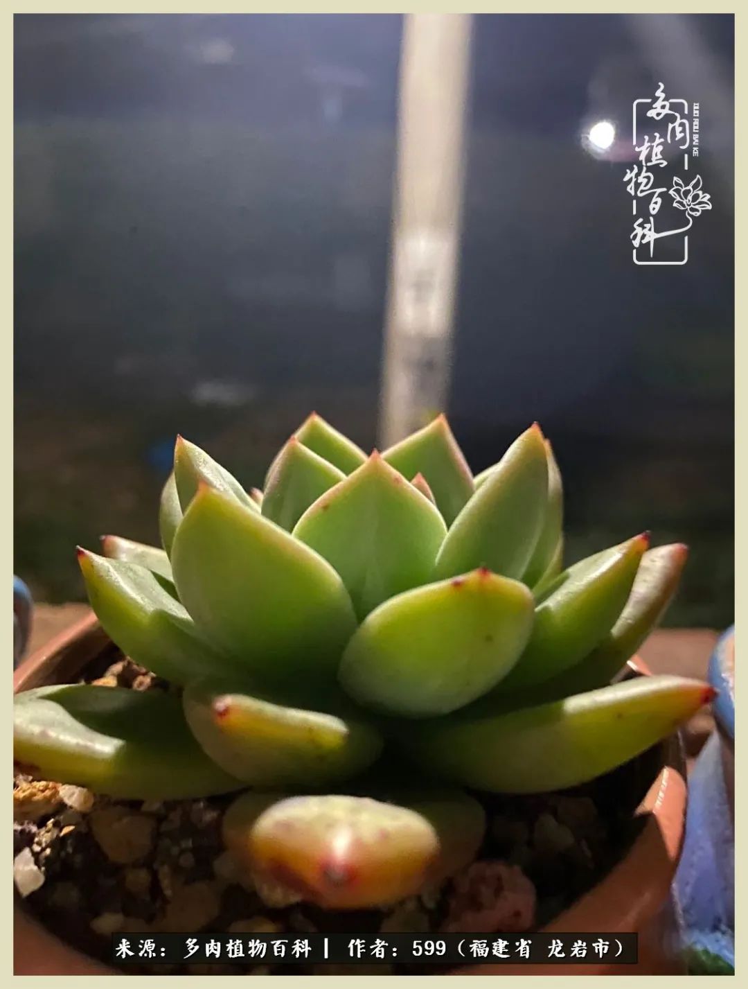 所有的热爱都不遗余力,所有的忙碌都是因为热爱