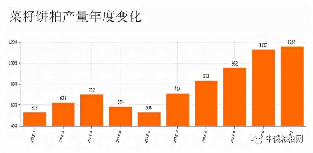 2024俄罗斯油菜籽最新价格,2024俄罗斯油菜籽产量预估