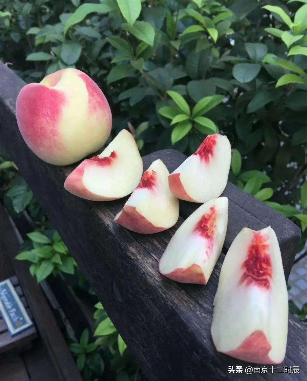 沂蒙山黄金水蜜桃,山东蒙阴金秋红蜜桃